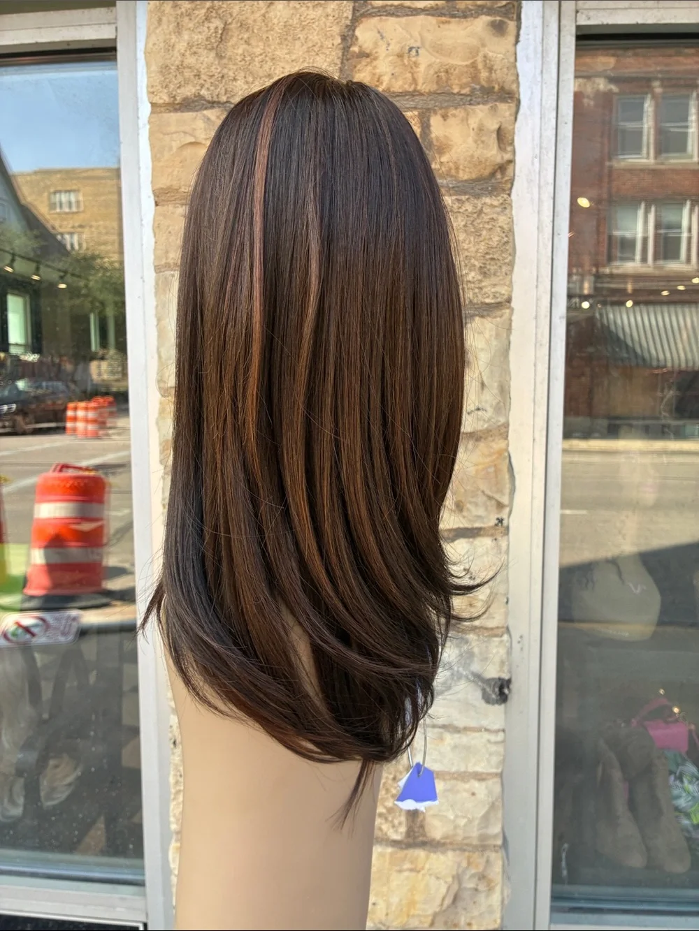 Brown Straight Layered Women's Wig - Sleek Natural Finish